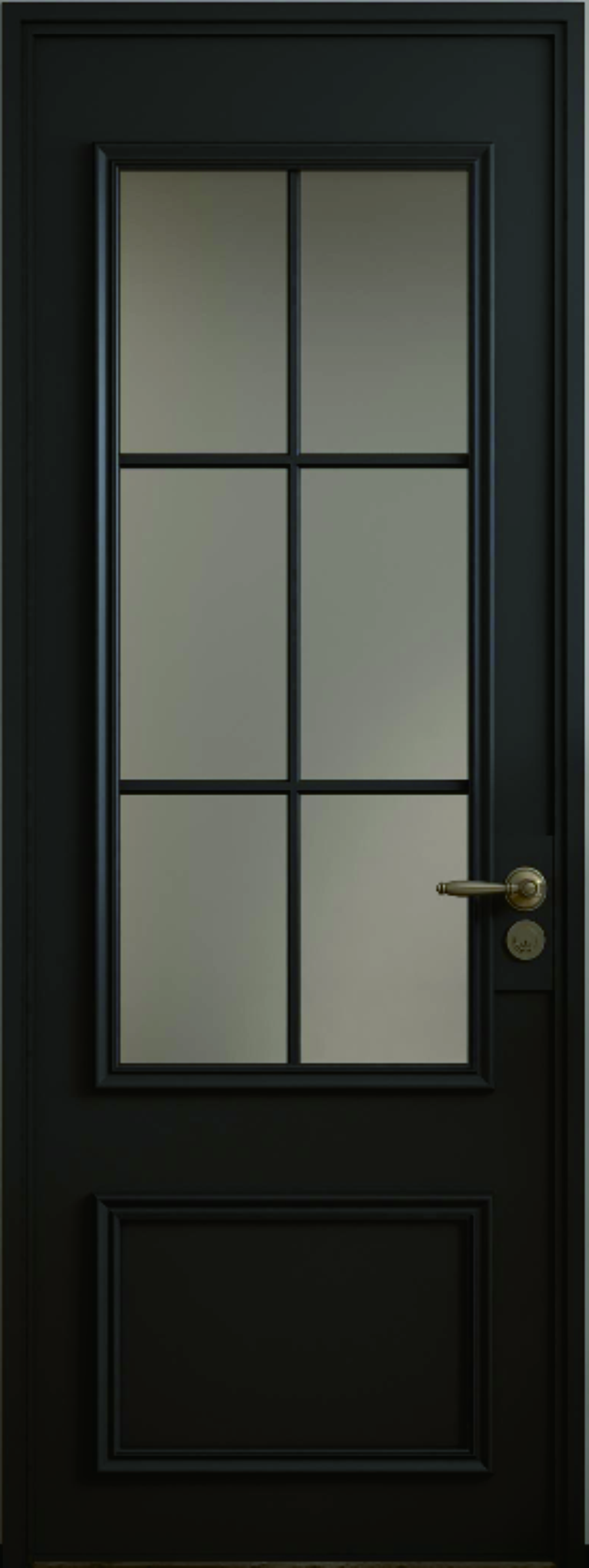 Swing Door Showcase 4