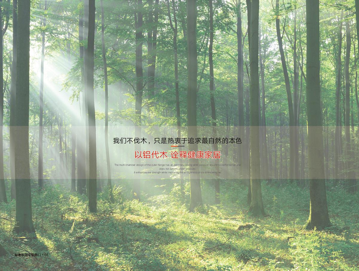 Room Door Showcase 10