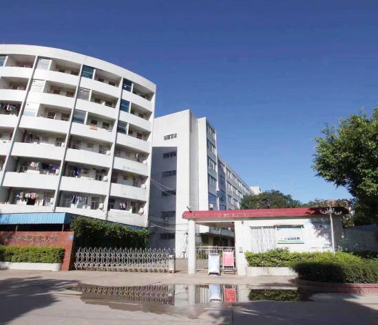 Solar Street Light Showcase 1