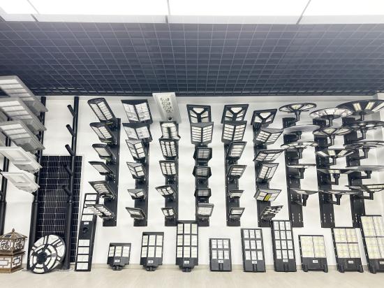 Solar Street Light Detail 9